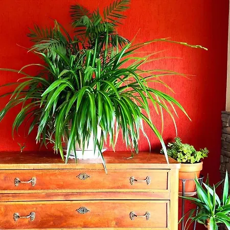 Hotel Bellavista Veleso