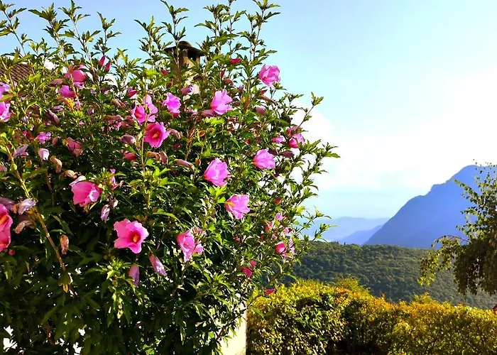 Hotel Ristorante Bellavista Con 2*